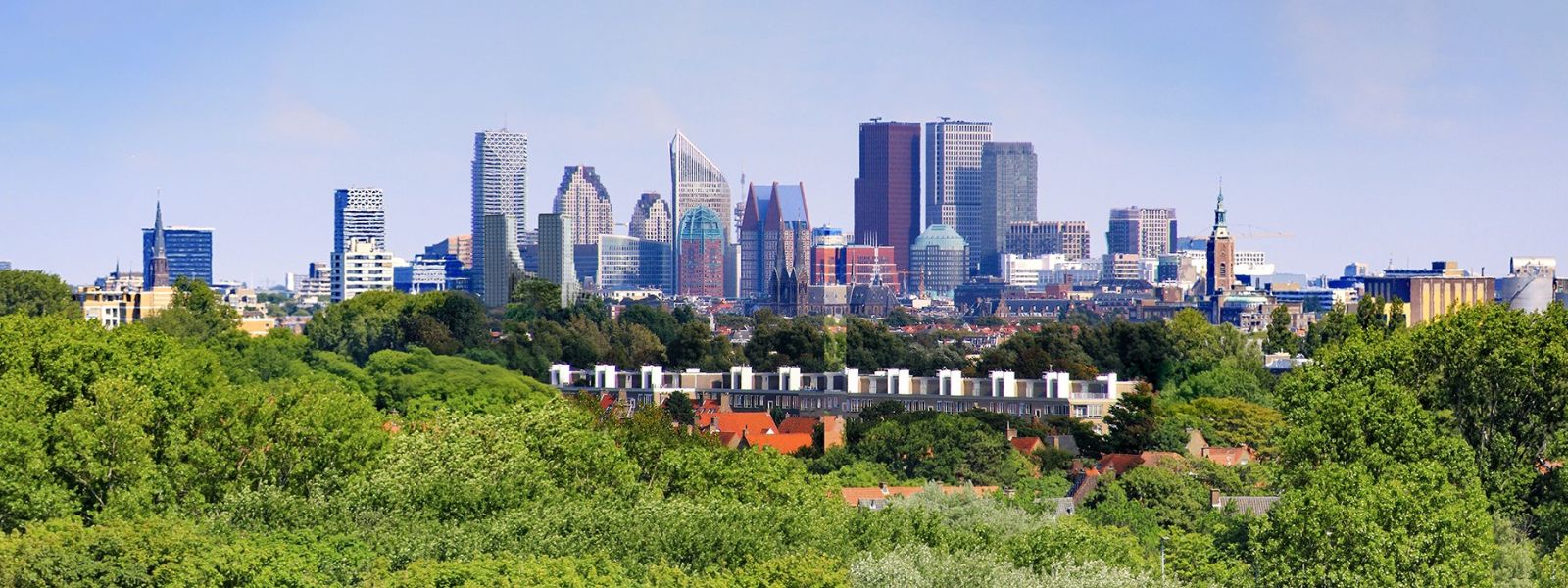 Skyline van Den Haag, foto gemaakt vanuit de Duinen. Op de voorgrond een groene oase aan bomen met een rijtje witte huisjes van de Laan van Medevoort. In de verte de skyline van Den Haag met de kenmerkende hoge gebouwen.